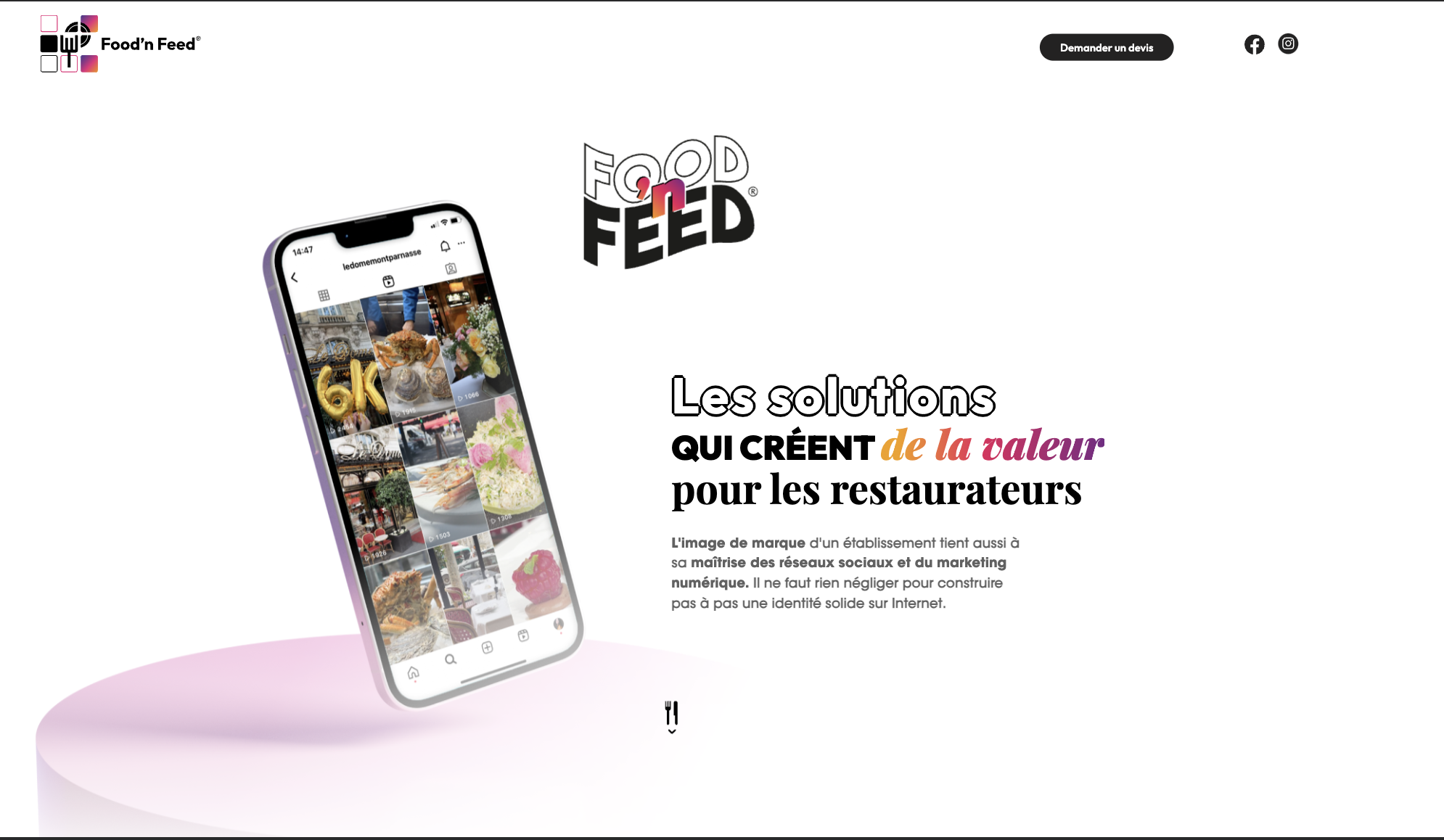 FoodnFeed website illustration